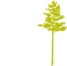 Rex-Lumber.com